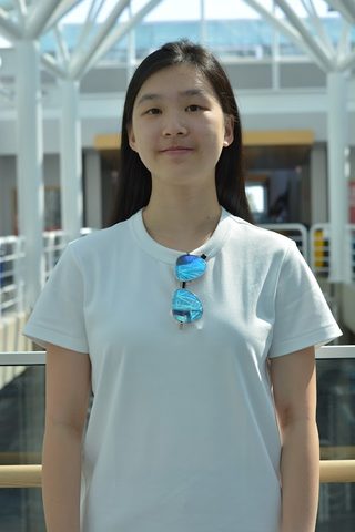 President of the CSSS